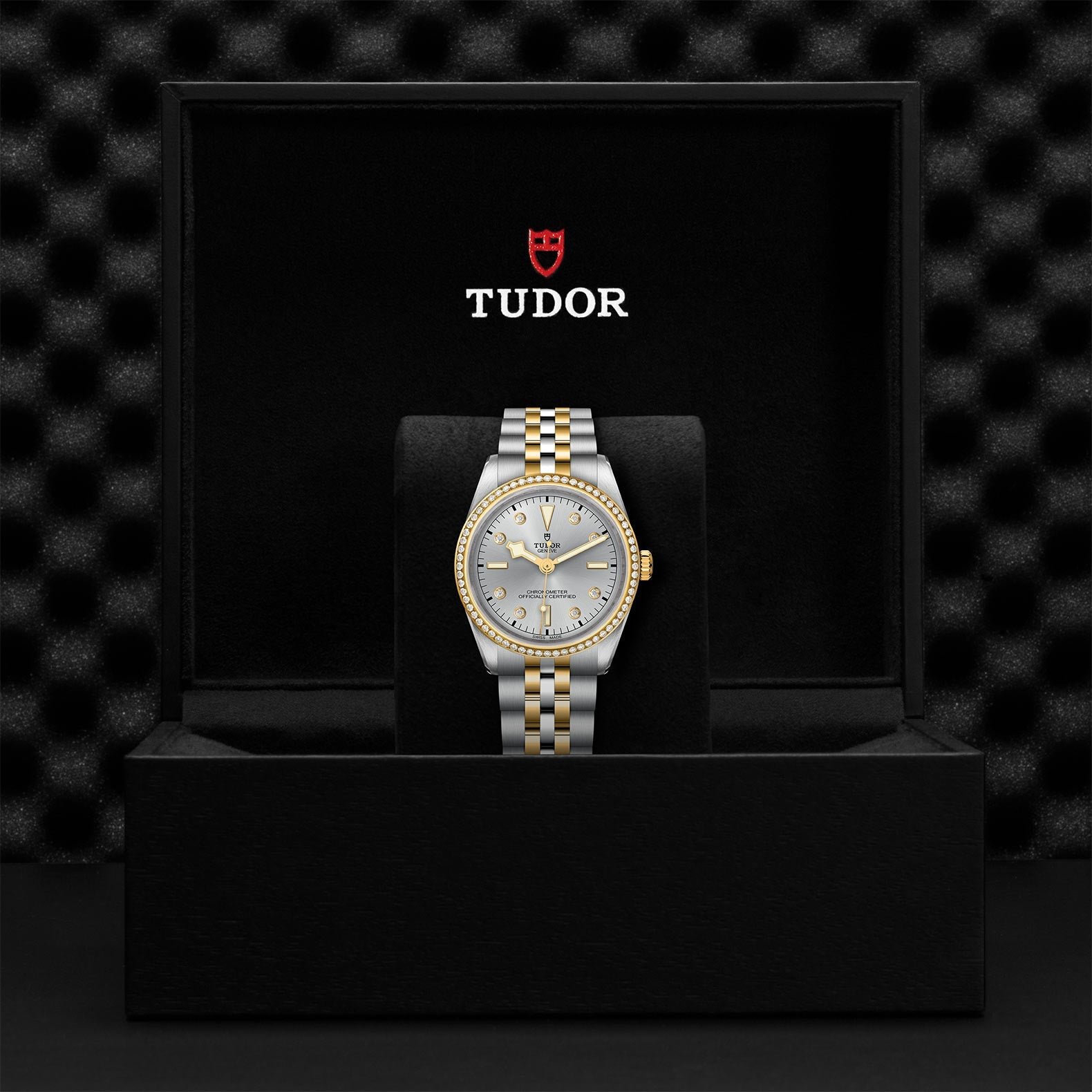TUDOR Black Bay 36 S&G - Image 3