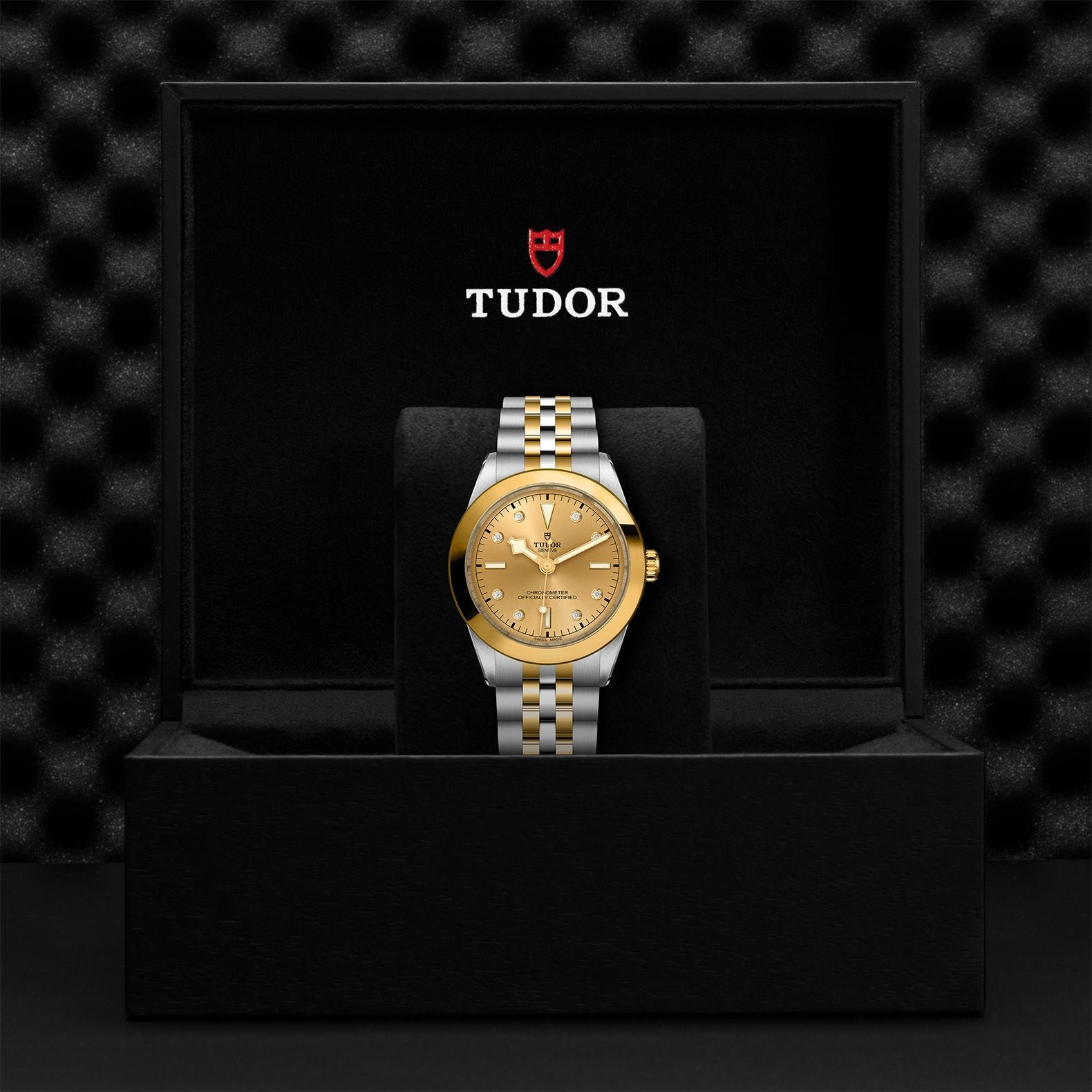 TUDOR Black Bay 39 S&G - Image 4