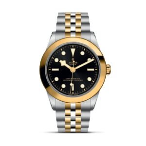 TUDOR Black Bay 39 S&G