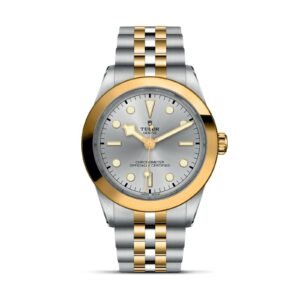TUDOR Black Bay 39 S&G